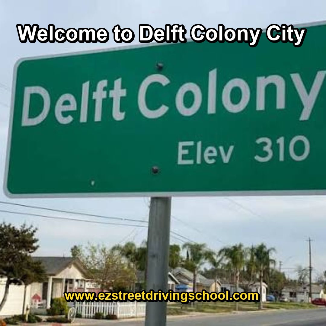 Driving Lessons in Delft Colony